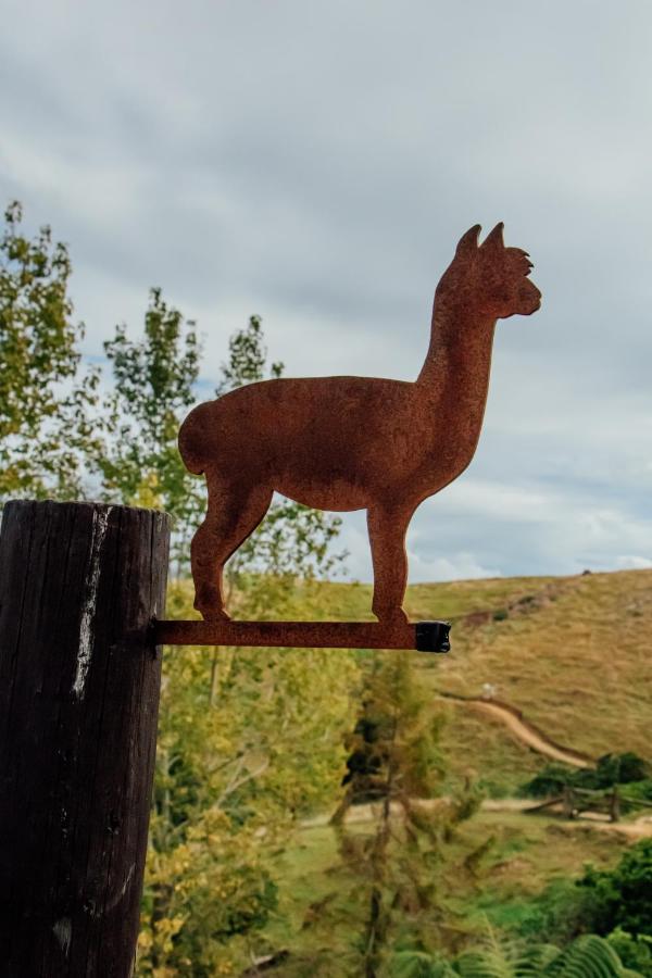 Luxury Stay, Alpaca Farm Paraparaumu Exterior foto